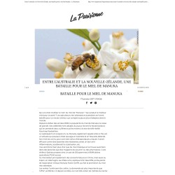 Manuka (PROMO) M?thylglyoxal (MG) 100 - 250g de Nouvelle-Z?lande
