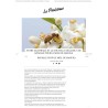 Manuka (PROMO) M?thylglyoxal (MG) 100 - 250g de Nouvelle-Z?lande