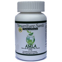 amla ayurveda antioxydant millénaire