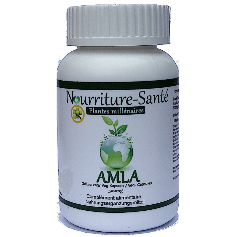 amla ayurveda antioxydant millénaire