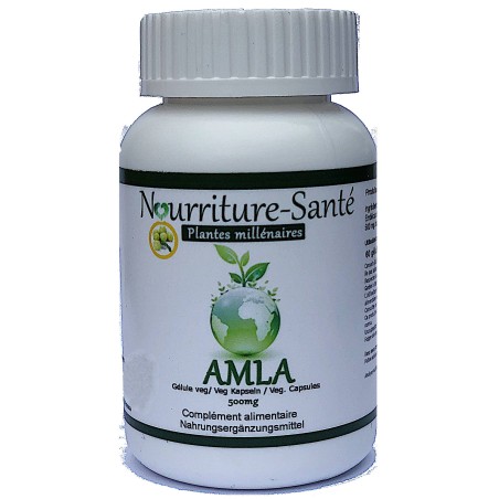 amla ayurveda antioxydant millénaire