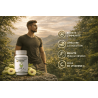 Amla Ayurvédique | Vitamine C Naturelle & Vitalité