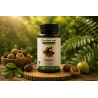 Triphala-Rajeunissement organes digestivfs